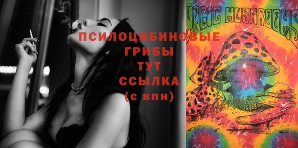 мяу мяу мука Вязьма