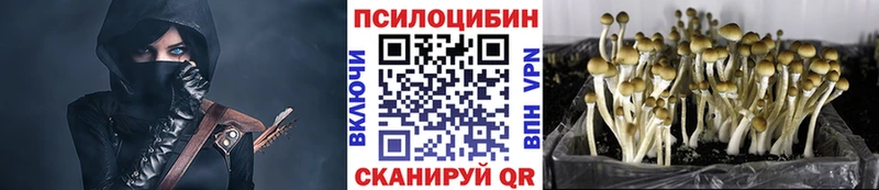 Галлюциногенные грибы Magic Shrooms Инза