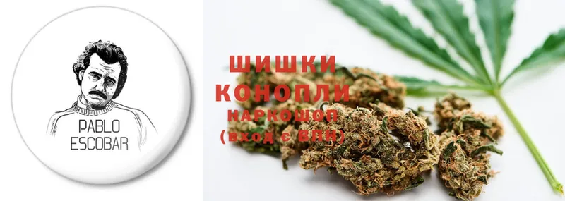 ссылка на мегу ONION  сайты даркнета наркотические препараты  Шишки марихуана White Widow  купить  цена  Инза 